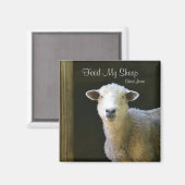 Voer mijn schapen magneet (Voorkant / Achterkant)