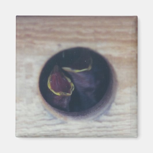 VOER ONS! -magneet Magneet (Voorkant)