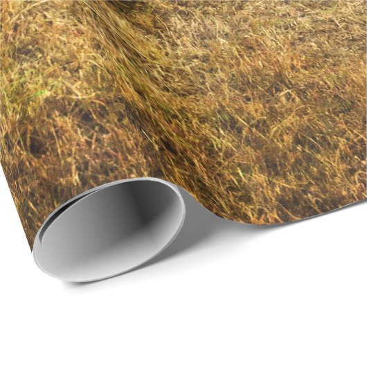  voertuigen cadeaupapier (Rol Hoek)