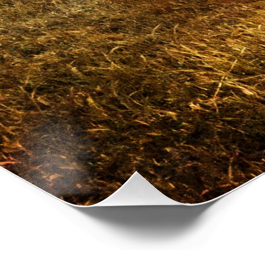  voertuigen poster (Hoek)