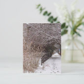 Voetafdrukken in de sneeuw. briefkaart (Staand voorkant)