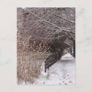 Voetafdrukken in de sneeuw. briefkaart
