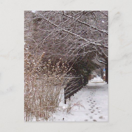 Voetafdrukken in de sneeuw. briefkaart (Voorkant)