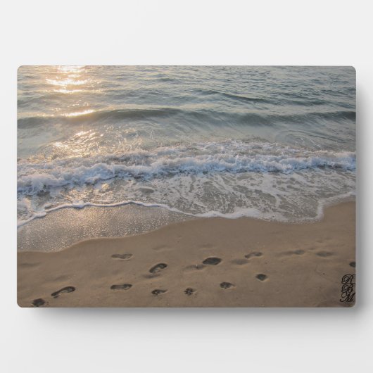Voetafdrukken in het zand fotoplaat (voorkant)
