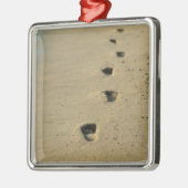 Voetafdrukken naast het zee metalen ornament (Links)