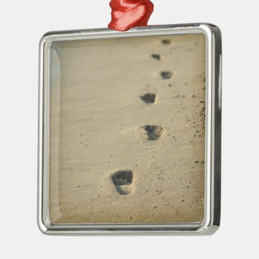 Voetafdrukken naast het zee metalen ornament (Links)