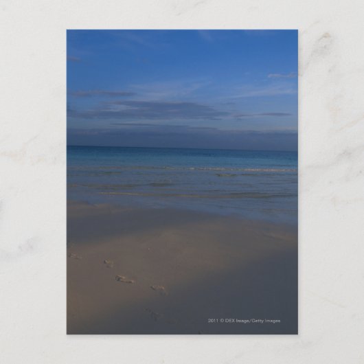 Voetafdrukken op het strand briefkaart (Voorkant)