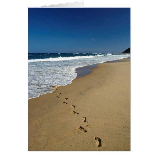 Voetafdrukken op strand, Mabibi, Thongaland (Voorkant)