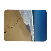 Voetafdrukken op strand, Mabibi, Thongaland Magneet (Horizontaal)