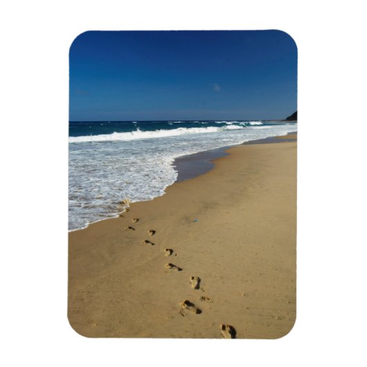 Voetafdrukken op strand, Mabibi, Thongaland Magneet (Verticaal)