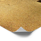 Voetafdrukken van de liefde poster (Hoek)