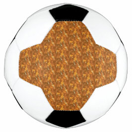 Voetbal