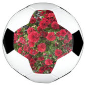 voetbal (Gedraaid)