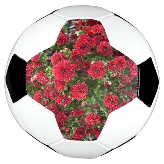 voetbal (Gedraaid)