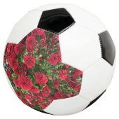 voetbal (Drie kwart)