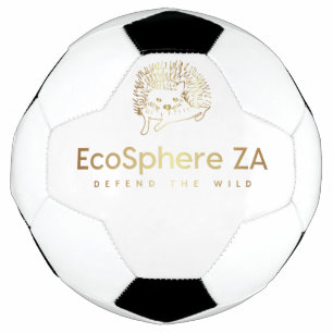 Voetbal