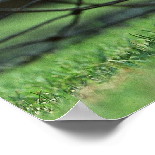 VOETBAL 3 POSTER (Hoek)