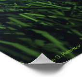 Voetbal (football) poster (Hoek)