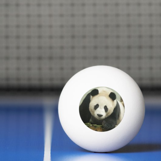 "Voetbal"-geschenken en -producten Pingpongbal (Net)