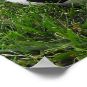 Voetbal in Grass Poster (Hoek)