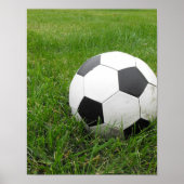 Voetbal in Grass Poster (Voorkant)