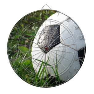 Voetbal in het veld dartbord