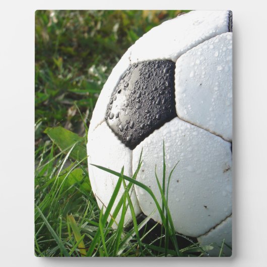 Voetbal in het veld fotoplaat (Voorkant)