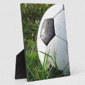 Voetbal in het veld fotoplaat (Zijkant)