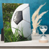 Voetbal in het veld fotoplaat (Zijkant)