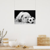 "Voetbal Nose" English Bulldog Puppy Poster (Keuken)