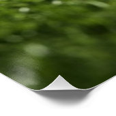 Voetbal op grasveld onder stadionlichten - perfect poster (Hoek)