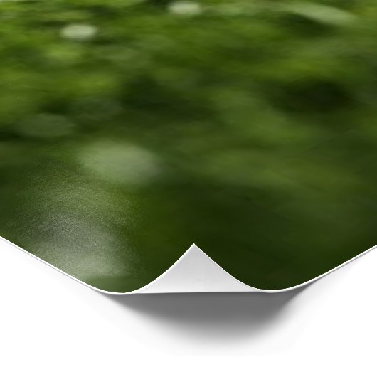 Voetbal op grasveld onder stadionlichten - perfect poster (Hoek)