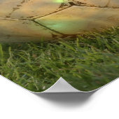 Voetbal Posters (Hoek)