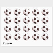 Voetbal stickers (Vel)