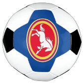 Voetbal van Horse Medallion, Land Western Ball (Gedraaid)
