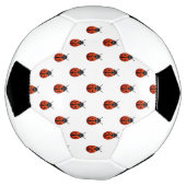 Voetbal van Ladybugs (Gedraaid)
