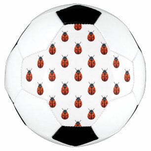 Voetbal van Ladybugs