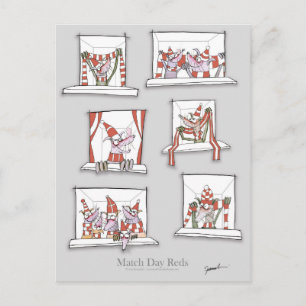 voetbalhonden komen overeen met eendagskuikens briefkaart