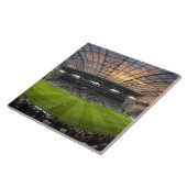 Voetbalwedstrijd, Forsyth Barr Stadium, Dunedin Tegeltje (Zijkant)