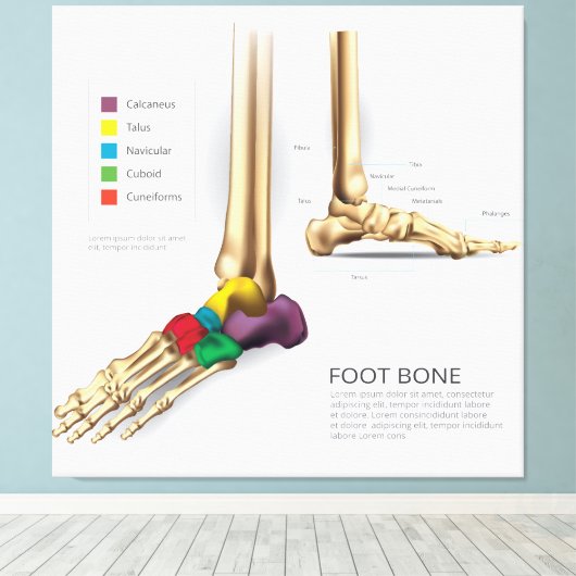voetbeen canvas afdruk (Insitu (Houten vloer))