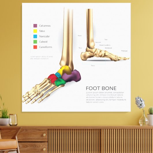 voetbeen canvas afdruk (Insitu (Woonkamer))