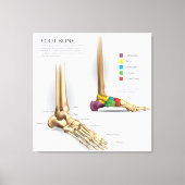 Voetbeenanatomie Canvas Afdruk (Voorkant)