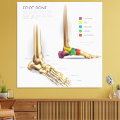 Voetbeenanatomie Canvas Afdruk (Insitu (Woonkamer))