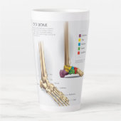 Voetbeenanatomie Latte Mok (Voorkant)