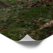Voetbrug in de herfst poster (Hoek)