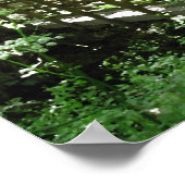 Voetbrug in Woodland. Poster (Hoek)