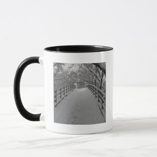 Voetbrug Mok (Links)