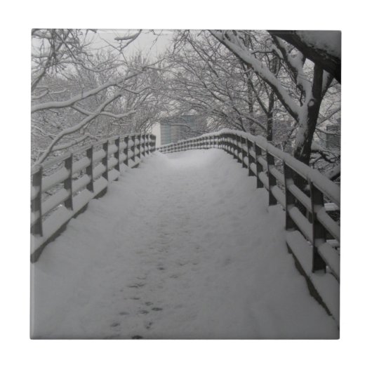 Voetbrug Tegeltje (Voorkant)