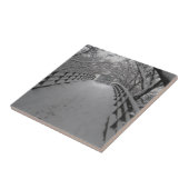 Voetbrug Tegeltje (Zijkant)