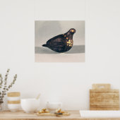 Voetdove Poster (Keuken)